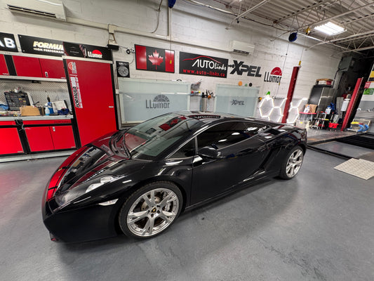 Lambo Gallardo Tint!