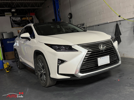 Lexus RX Lights Get Smoked